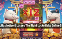 Tactics to Avoid Losses The Right Lucky Neko Online Slot